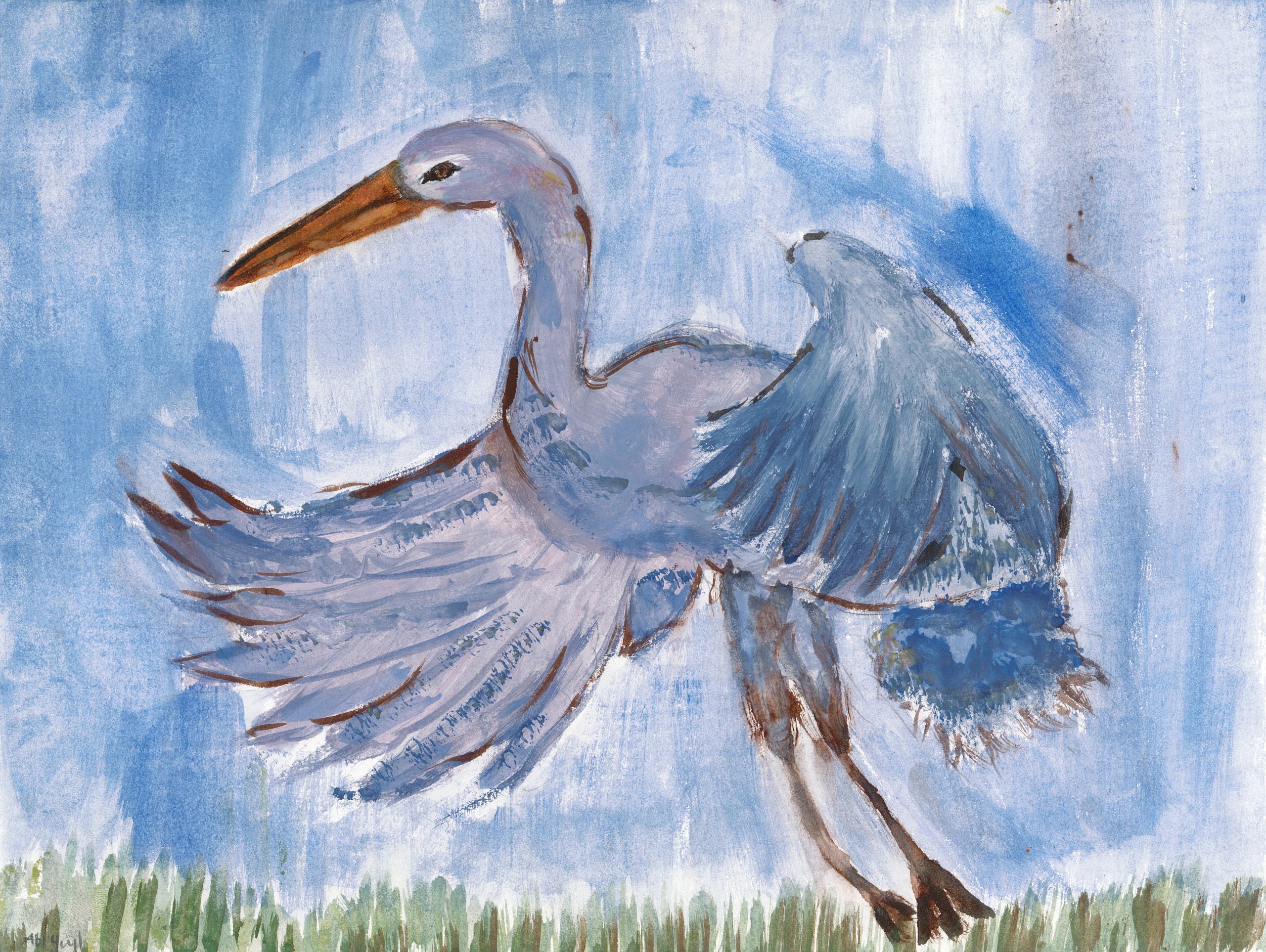 Honorable Mention Abigail A.